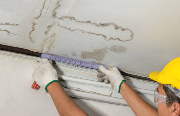 Reliable Water Damage Repair contractor in New Martinsville, WV by Hirex Water Damage